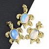 Opalite & Brass Pendants KK-F887-01G-03-1