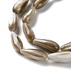 Natural Freshwater Shell Beads Strands SSHEL-B002-12-3