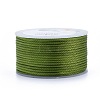 Polyester Braided Cords OCOR-I006-A01-36-1