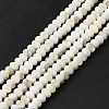Natural Freshwater Shell Beads Strands BSHE-E026-15A-01-1