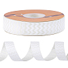 Polyester Ribbons OCOR-WH0120-41C-1