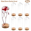 Glass Dome Cloche Cover AJEW-YW0001-10B-1