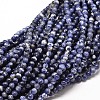 Natural Sodalite Round Bead Strands G-P072-27-10mm-1