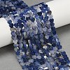 Natural Sodalite Beads Strands G-M403-A42-02-1