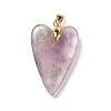 Natural Fluorite Pendants X-G-E570-01G-01-2