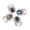 Natural Labradorite Alloy Spider Ornament PW-WG9F9E5-01-1