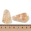 Natural Freshwater Shell Pendants SHEL-K009-06-4