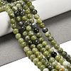 Natural TaiWan Jade Beads Strands G-B128-A07-02-2