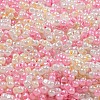 Glass Seed Beads SEED-K009-02B-17-3