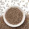 TOHO 3/0 Round Beads X-SEED-TR03-0989-2
