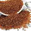 12/0 Glass Seed Beads SEED-A005-2mm-22C-1