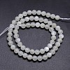 Natural White Moonstone Round Bead Strands G-M262-6mm-04-2