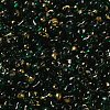 Spray Painted Glass Seed Beads SEED-F005-10A-02-3