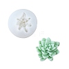 Succulent Plant DIY Candle Silicone Molds PW-WGF52C4-04-1