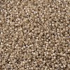 MIYUKI Delica Beads SEED-MY11-DB1731-3