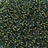 TOHO Round Seed Beads SEED-XTR08-1014-2