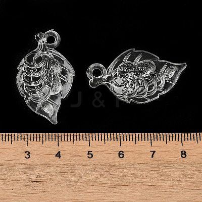 Transparent Acrylic Pendants TACR-G048-04A-1