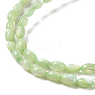 Natural Trochus Shell Beads Strands SHEL-K006-19E-1