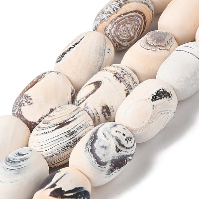 Natural Fire Crackle Agate Beads Strands G-Q169-F09-01-1