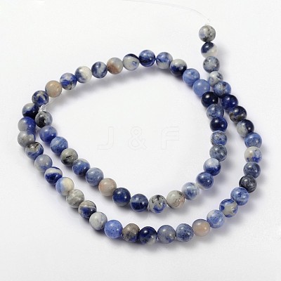 Natural Sodalite Beads Strand GSR12mmC013-1