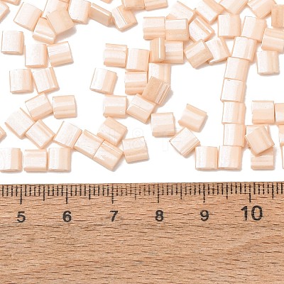 MIYUKI TILA Beads SEED-MY05-TL593-1
