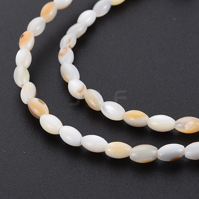 Natural Freshwater Shell Beads Strands SHEL-N027-08B-1