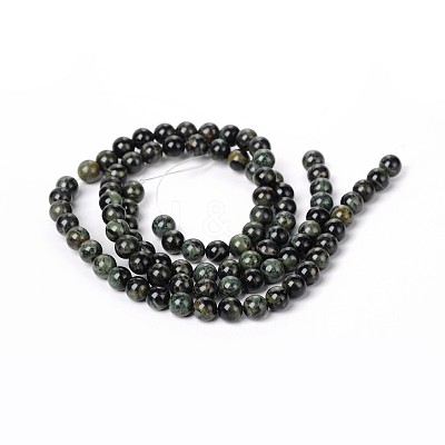 Natural Kambaba Jasper Beads Strands G-M172-10mm-01-1