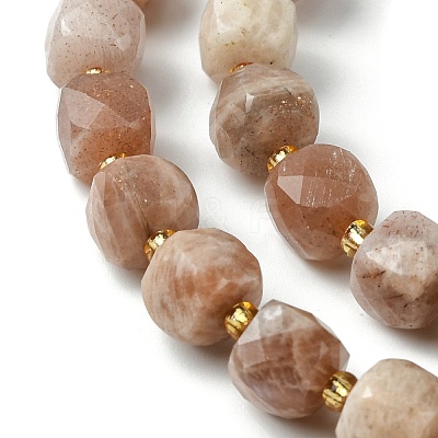 Natural Sunstone Beads Strands G-Q010-A01-01-1