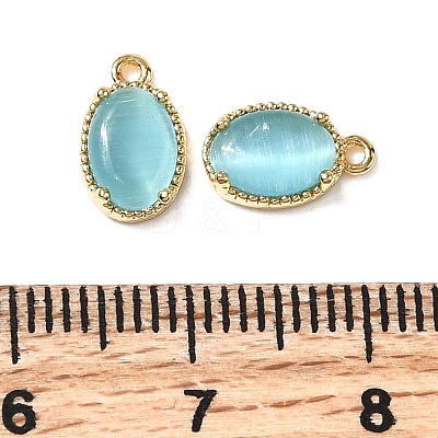Oval Brass Charms KK-D024-01A-G-1