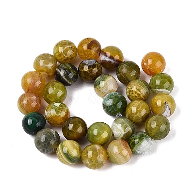 Natural Dragon Veins Agate Beads Strands G-Q606-42B-D02-1