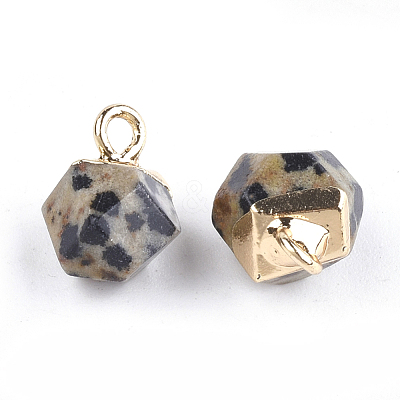 Electroplate Natural Dalmatian Jasper Charms X-G-S344-08D-1