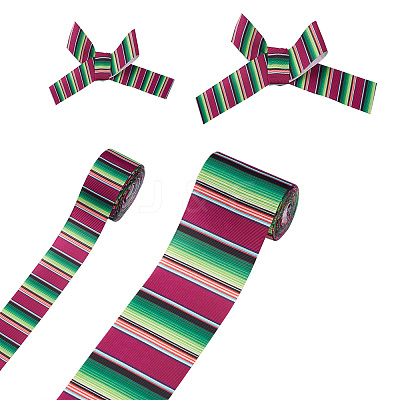 2Rolls 2 Styles Stripe Pattern Printed Polyester Grosgrain Ribbon OCOR-TA0001-37M-1