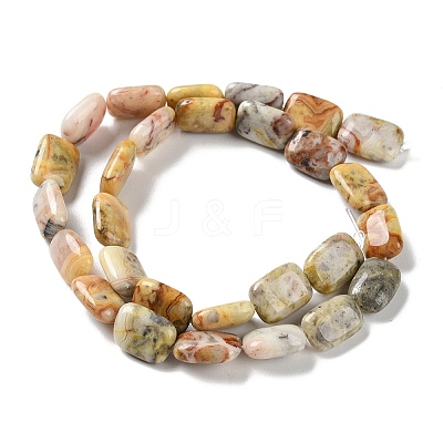 Natural Crazy Lace Agate Beads Strands G-K357-D08-01-1