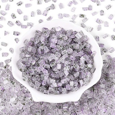 Transparent Spray Painted Glass Seed Beads SEED-L011-10A-20-1