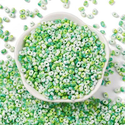 Two Tone Baking Paint Glass Seed Beads SEED-C003-01E-1