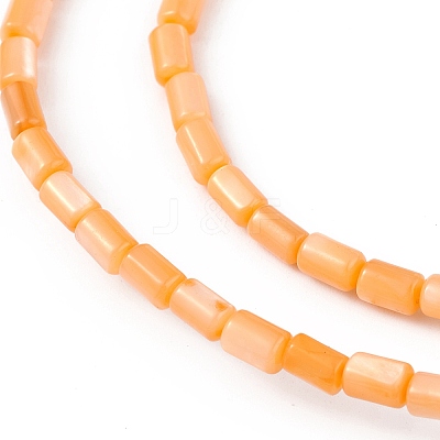 Natural Freshwater Shell Dyed Beads Strands SHEL-M018-12-07-1