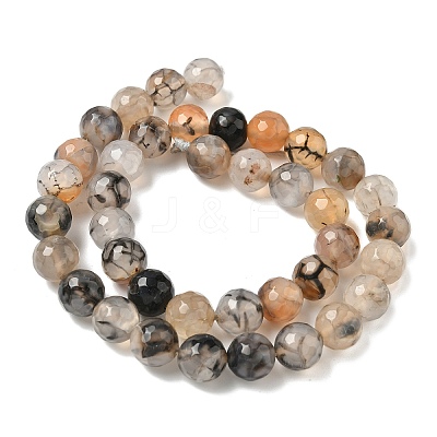 Natural Agate Beads Strands G-M437-C01-01V-1