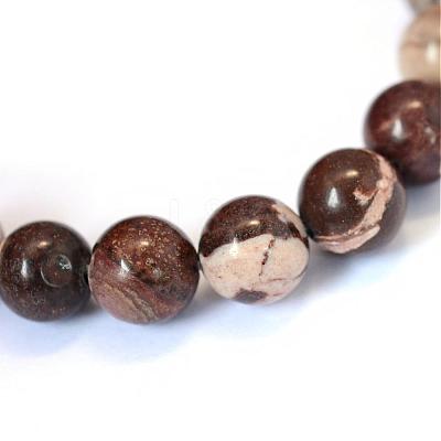 Natural Zebra Jasper Round Bead Strands G-E334-8mm-12-1