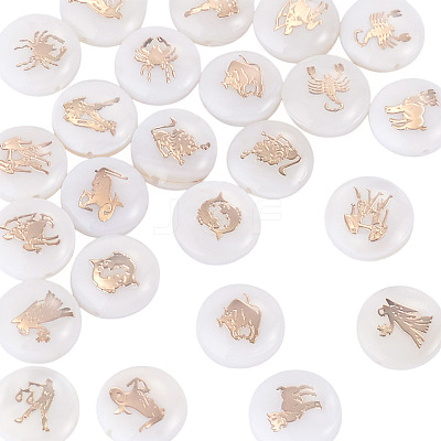 24Pcs 12 Styles Natural Freshwater Shell Beads SHEL-TA0001-42-1