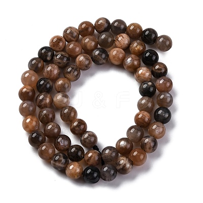 Natural Black Moonstone Beads Strands G-A219-A01-02-1