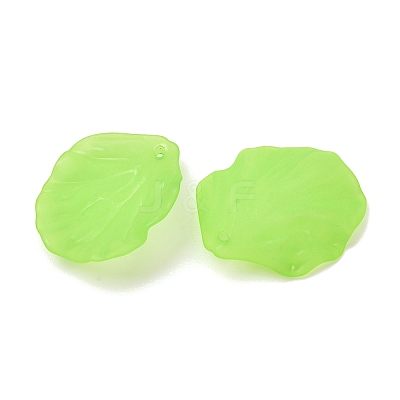 Frosted Acrylic Pendants AC-CBA1E6C-01A-1
