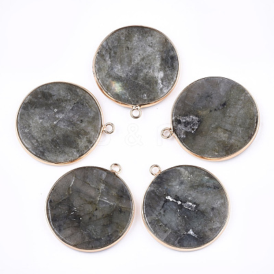 Natural Labradorite Pendants G-T112-24H-1