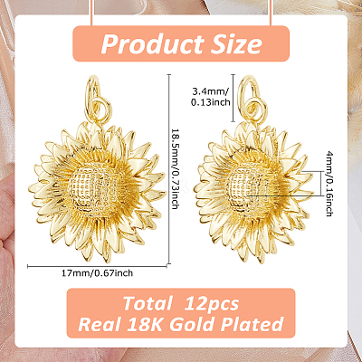 12Pcs Brass Pendants KK-HS0015-34-1