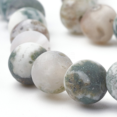 Natural Tree Agate Beads Strands G-T106-038-1