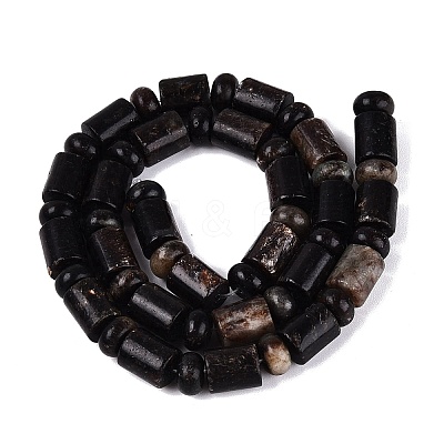 Natural Biotite Beads Strands G-Q616-09B-1