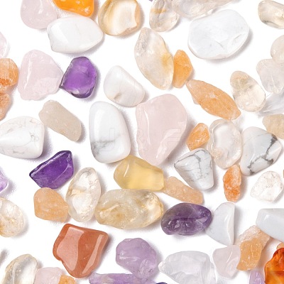 150G 5 Style Natural Mixed Gemstone Chip Beads G-FS0001-09-1