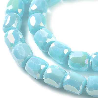 Electroplate Opaque Glass Beads GLAA-F108-10A-04-1