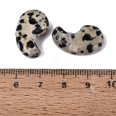 Natural Dalmatian Jasper Pendants G-S294-07B-13-1