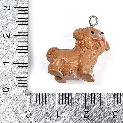 Cute Opaque Resin Pendants LS-RESI-R458-05D-1