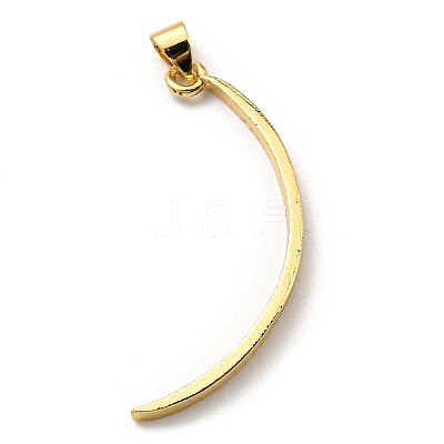 Brass with Cubic Zirconia Pendants KK-K341-32G-01-1